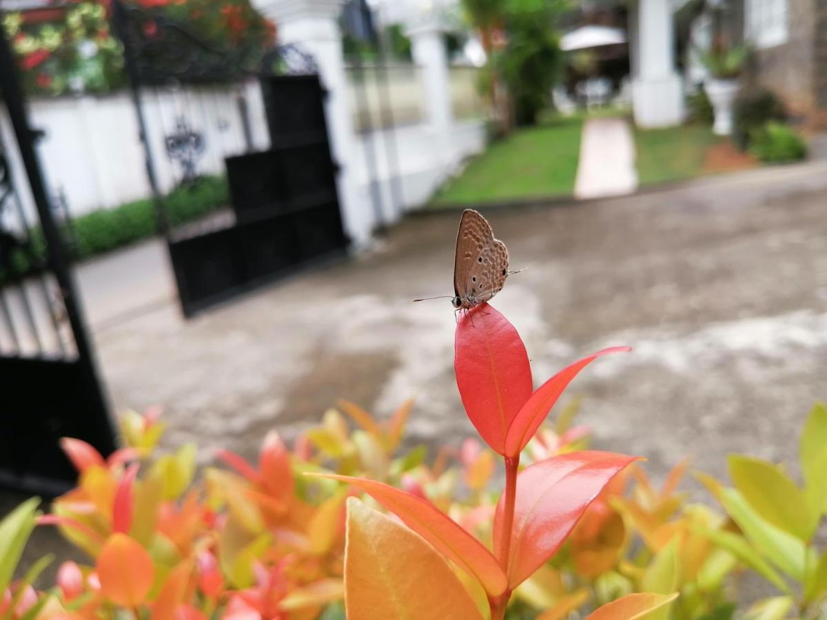 Anna Shanthi Villa Kandy Exterior foto