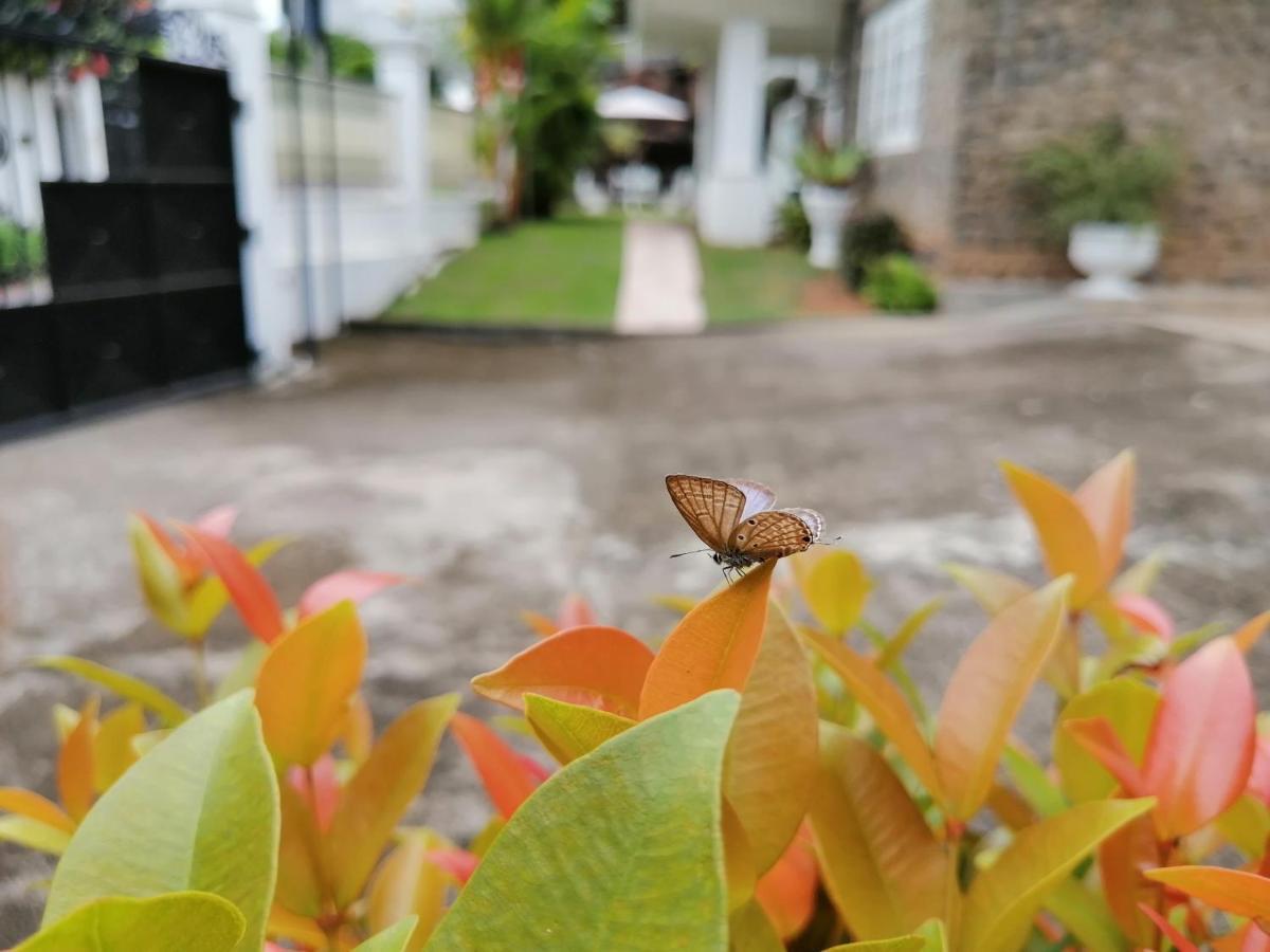 Anna Shanthi Villa Kandy Exterior foto