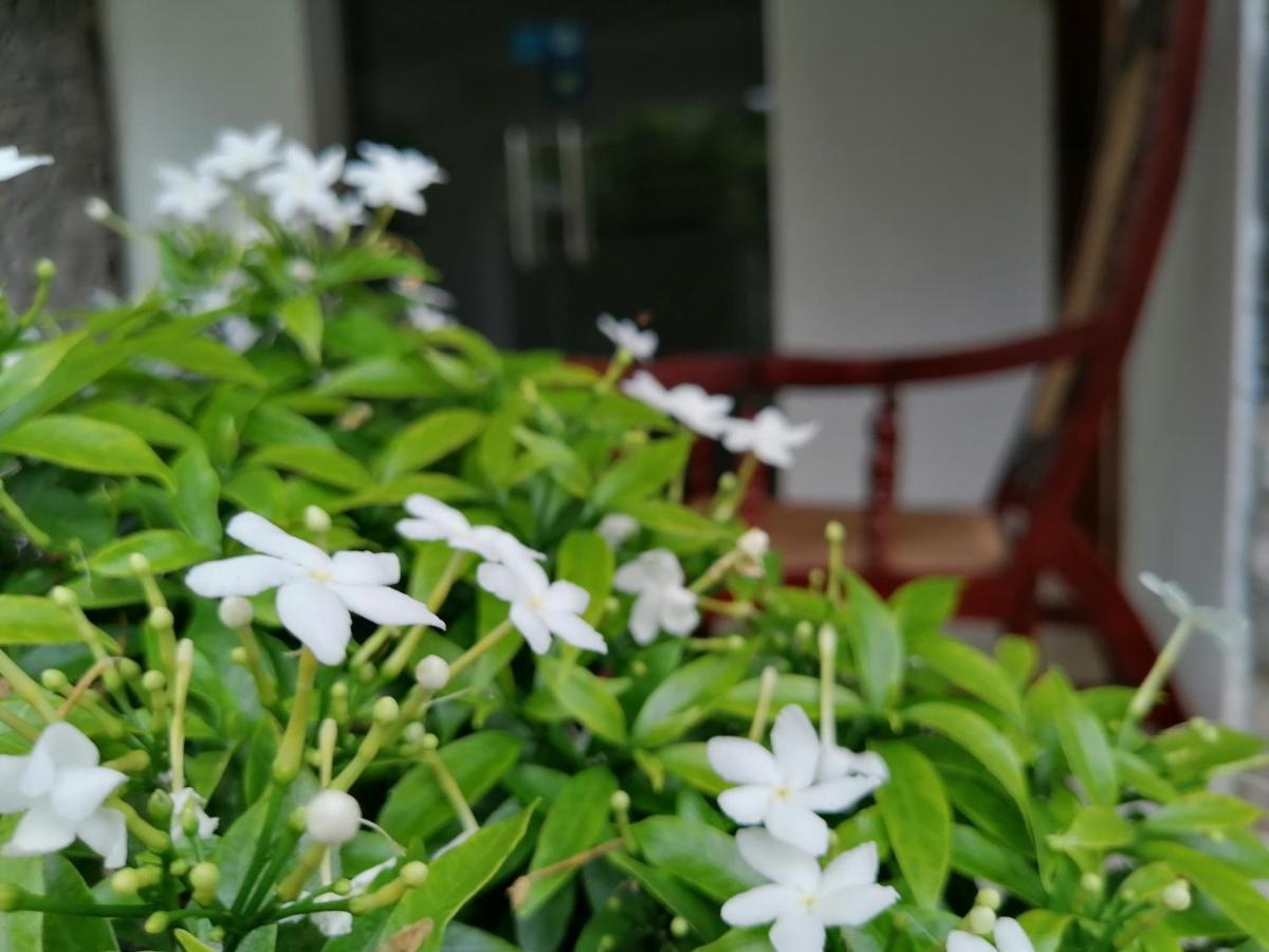 Anna Shanthi Villa Kandy Exterior foto